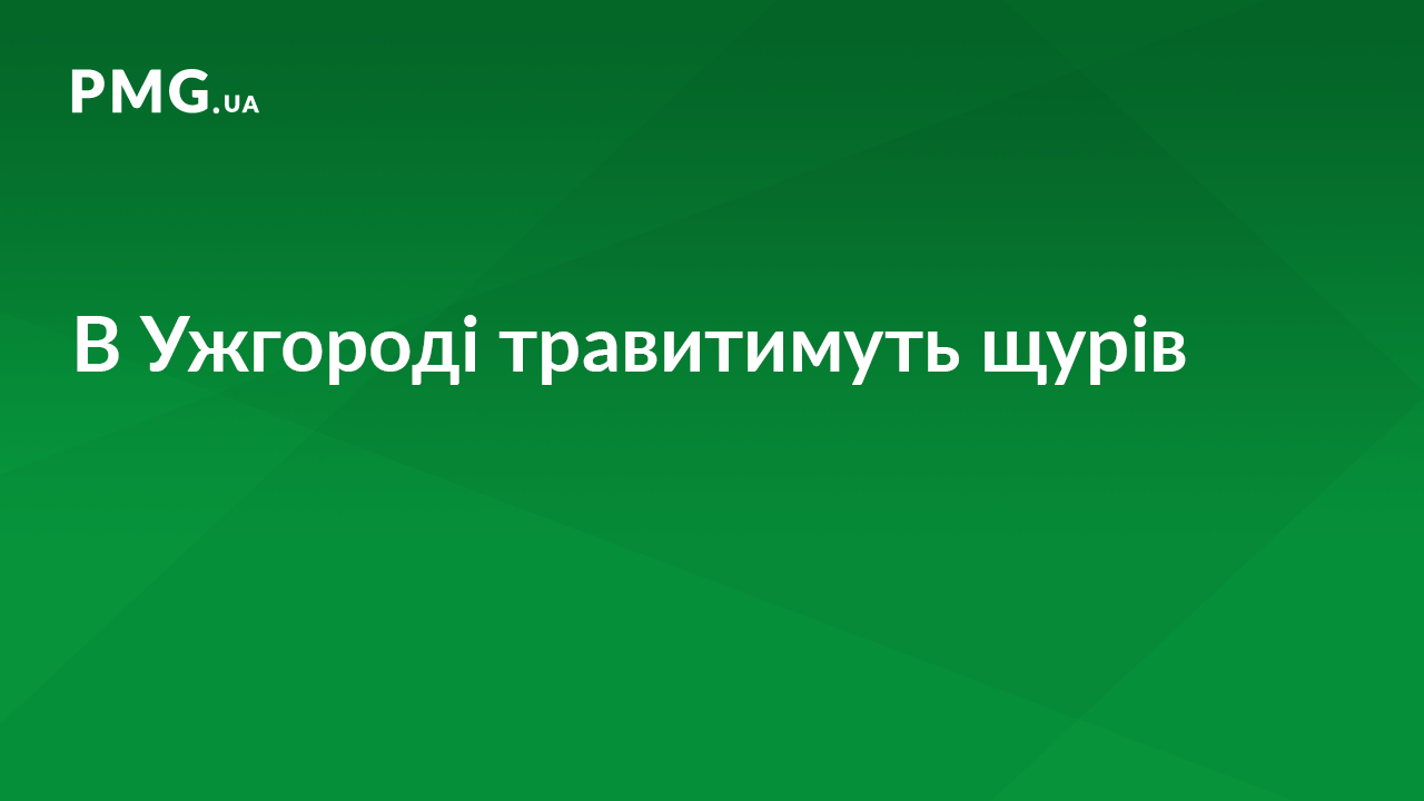 В Ужгороді травитимуть щурів В Ужгороді травитимуть щурів