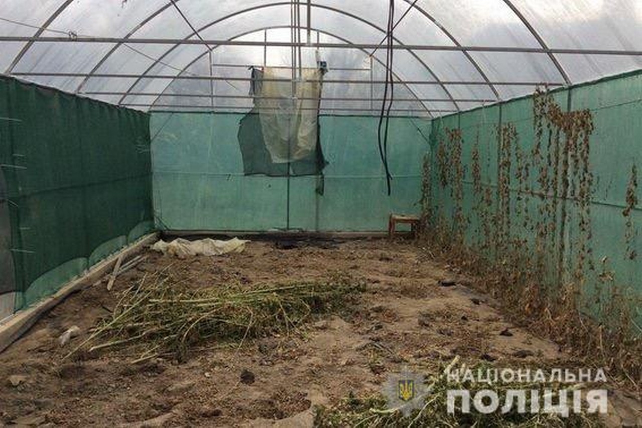 Молодий мукачівець проведе за ґратами майже 10 років Через наркозлочин 29-річний чоловік із Мукачева проведе за ґратами 9 років і 6 місяців