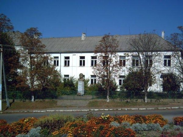 Скандал на Закарпатті: школярці у капучино підмішали віагру Школа, в якій трапилась надзвичайна подія