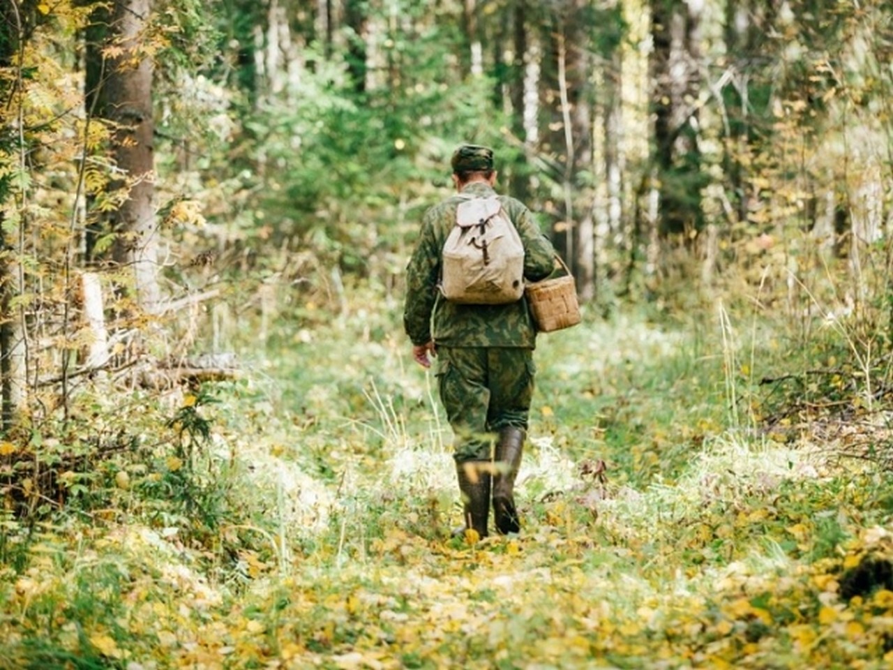 На Іршавщині чоловік пішов по гриби і заблукав Чоловік із села Кошелево, що на Хустщині, пішов по гриби в Іршавський район і заблукав у лісі