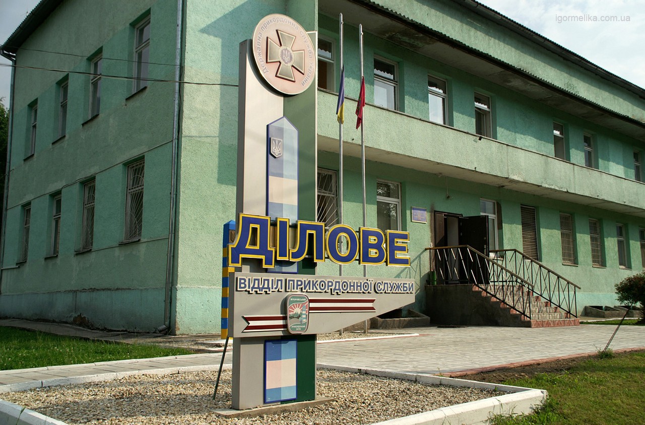 Азіата та африканця затримали на Закарпатті У селі Ділове, що на Рахівщині, прикордонники виявили двох нелегалів – громадянина Гвінеї та пакистанця