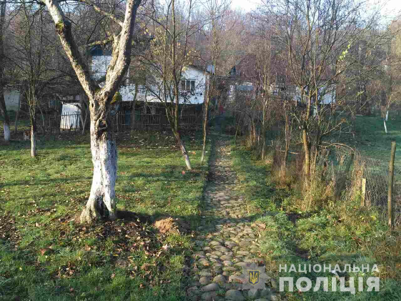 Від кохання до ненависті: жінка вбила свого співмешканця На Іршавщині 59-річна жінка вбила свого співмешканця, який був молодшим за неї на 11 років