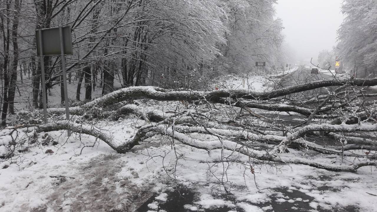 ФОТО: з Інтернету не відноситься до даної статті Через негоду на Закарпатті впали кілька газет