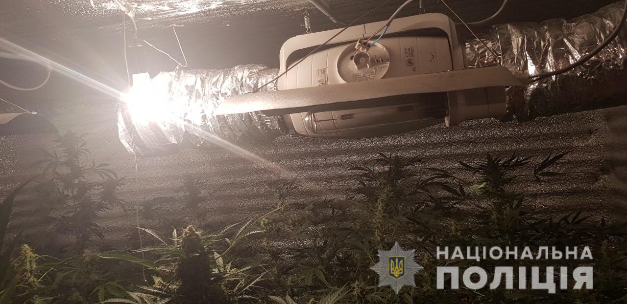 Можуть сісти за ґрати: чим на Закарпатті займалося подружжя Можуть сісти за ґрати: чим на Закарпатті займалося подружжя з Одещини
