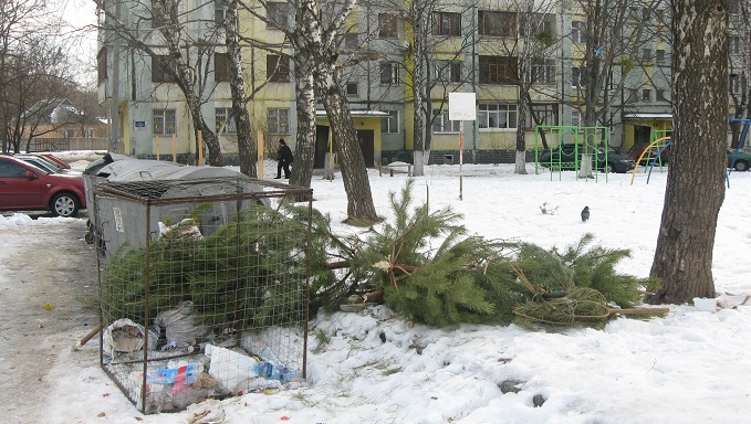 Що робити з ялинкою: мукачівцям розповіли, куди приносити новорічне дерево Мукачівцям розповіли, куди приносити новорічне дерево: перелік адрес