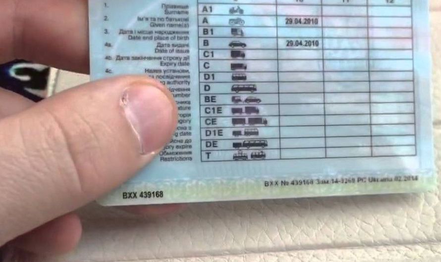 МВС розгляне можливість отримання водійських прав без проходження курсів у автошколі В Україні можуть дозволити здавати на права без проходження курсів у автошколі