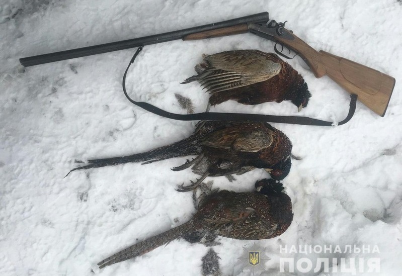 Компанію чоловіків зупинили на перехресті: відомо, що вони накоїли У Хусті компанія чоловіків займалася браконьєрством