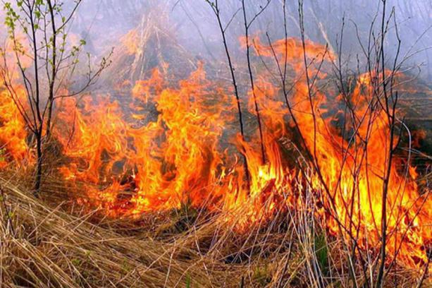 За добу рятувальники гасили 11 пожеж За добу закарпатські рятувальники гасили 11 пожеж