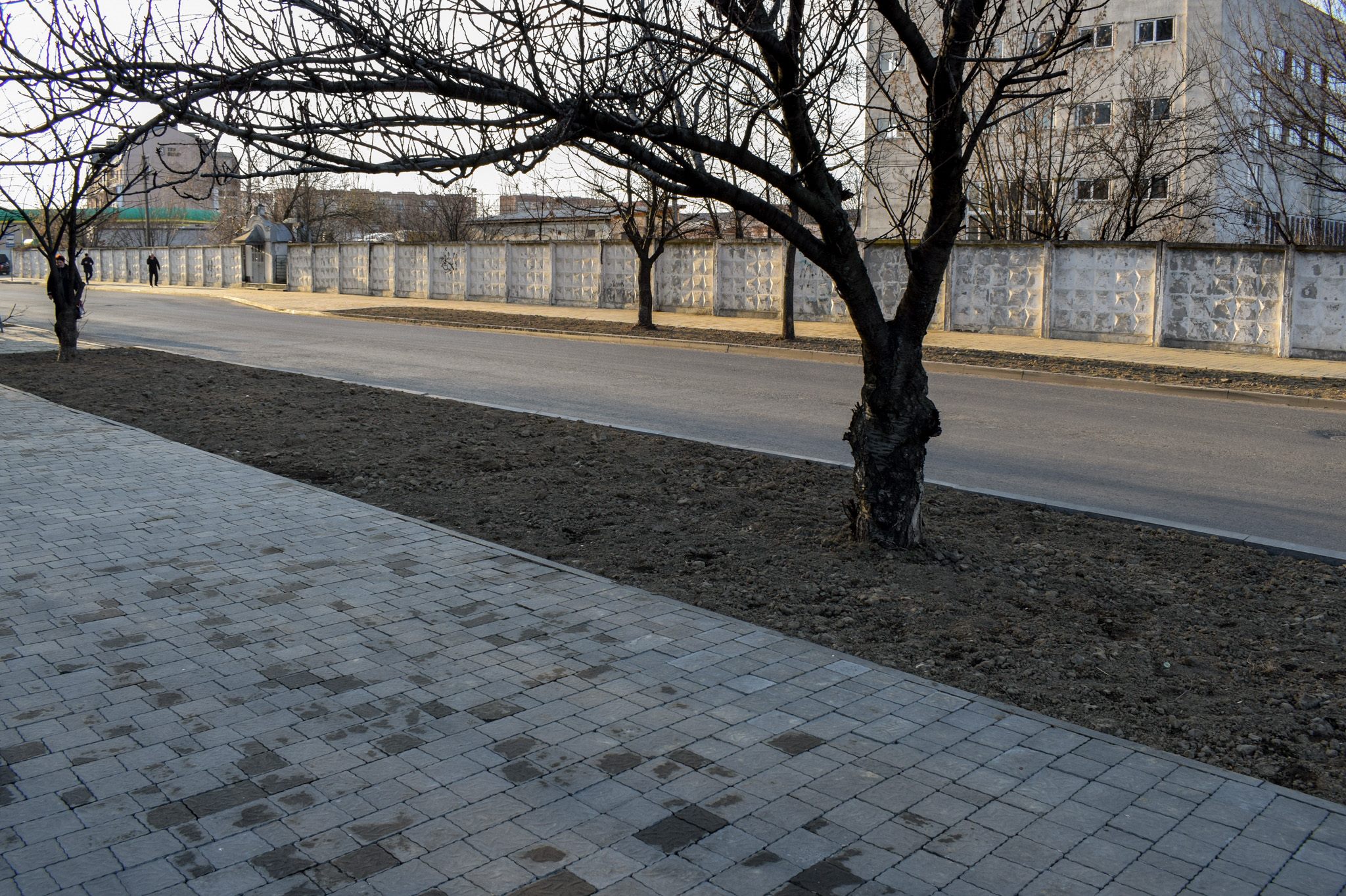 На узбіччі вулиці Заньковецької в Ужгороді висадять алею сакур На узбіччі вулиці Заньковецької в Ужгороді висадять алею сакур