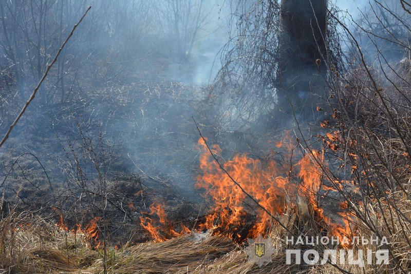 Поліція попереджає про адмінвідповідальність за підпал трави Поліція попереджає про адмінвідповідальність за спалювання сміття та підпал трави