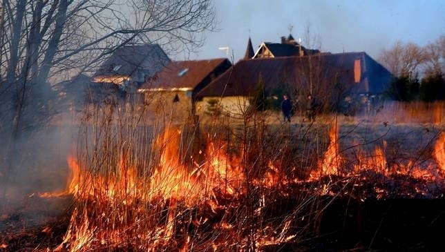 За спалювання трави, яке призвело до тяжких наслідків, саджатимуть до в’язниці Найбільше в Україні траву спалюють жителі Закарпаття