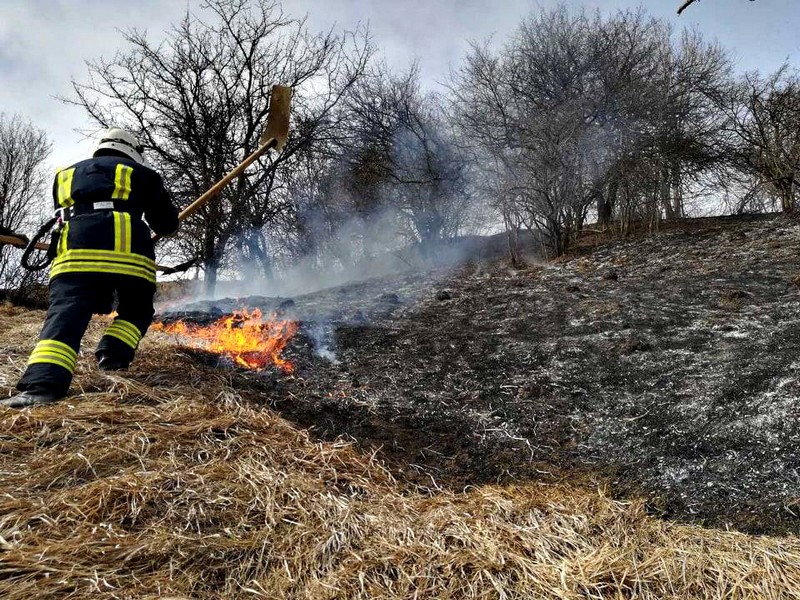 Через загорання сухостою ледве не згорів житловий будинок Через загорання сухостою в Ужгороді ледве не згорів житловий будинок