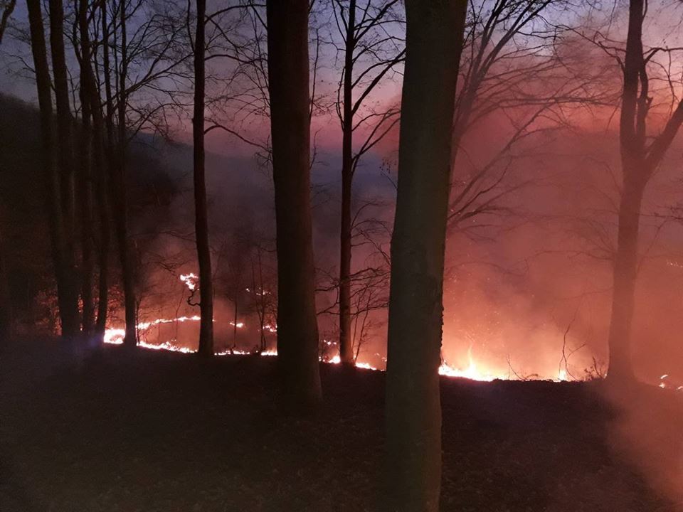 На Виноградівщині горіло майже 5 гектарів поля неподалік лісу У Виноградівському районі горіло майже 5 гектарів поля неподалік лісу
