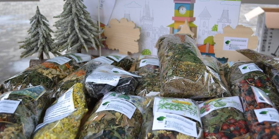 Як закарпатські лісівники туризм розвивають: очільник галузі розповів ідеї Розвиток туризму на Закарпатті очима лісівників