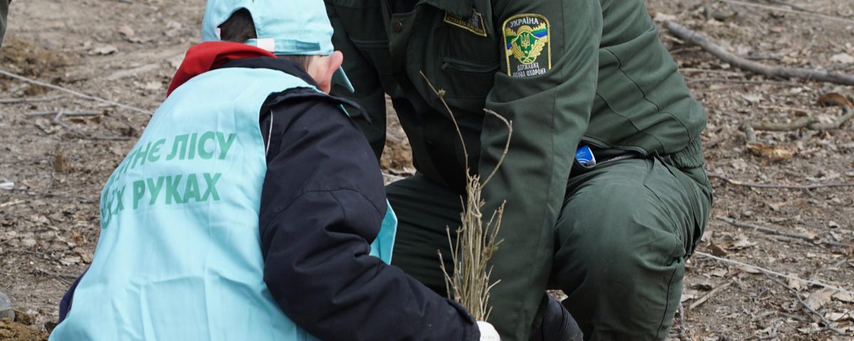 У Мукачівському районі вже висадили понад 6 тисяч дерев 6600 дерев висадили лісівники на свіжих зрубах Мукачівщини