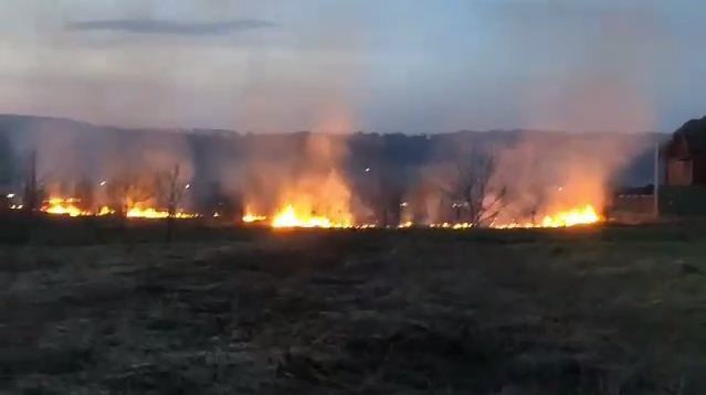 На межі двох районів спалахнула масштабна пожежа На Закарпатті на межі Тячівського і Рахівського районів спалахнула масштабна пожежа