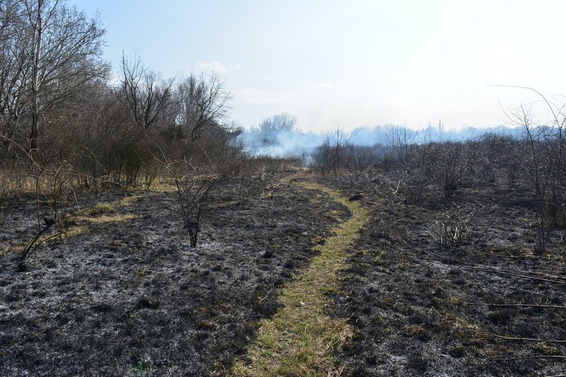 Впродовж доби вогнеборці гасили 13 пожеж в екосистемах Впродовж доби на Закарпатті вогнеборці гасили 13 пожеж в екосистемах