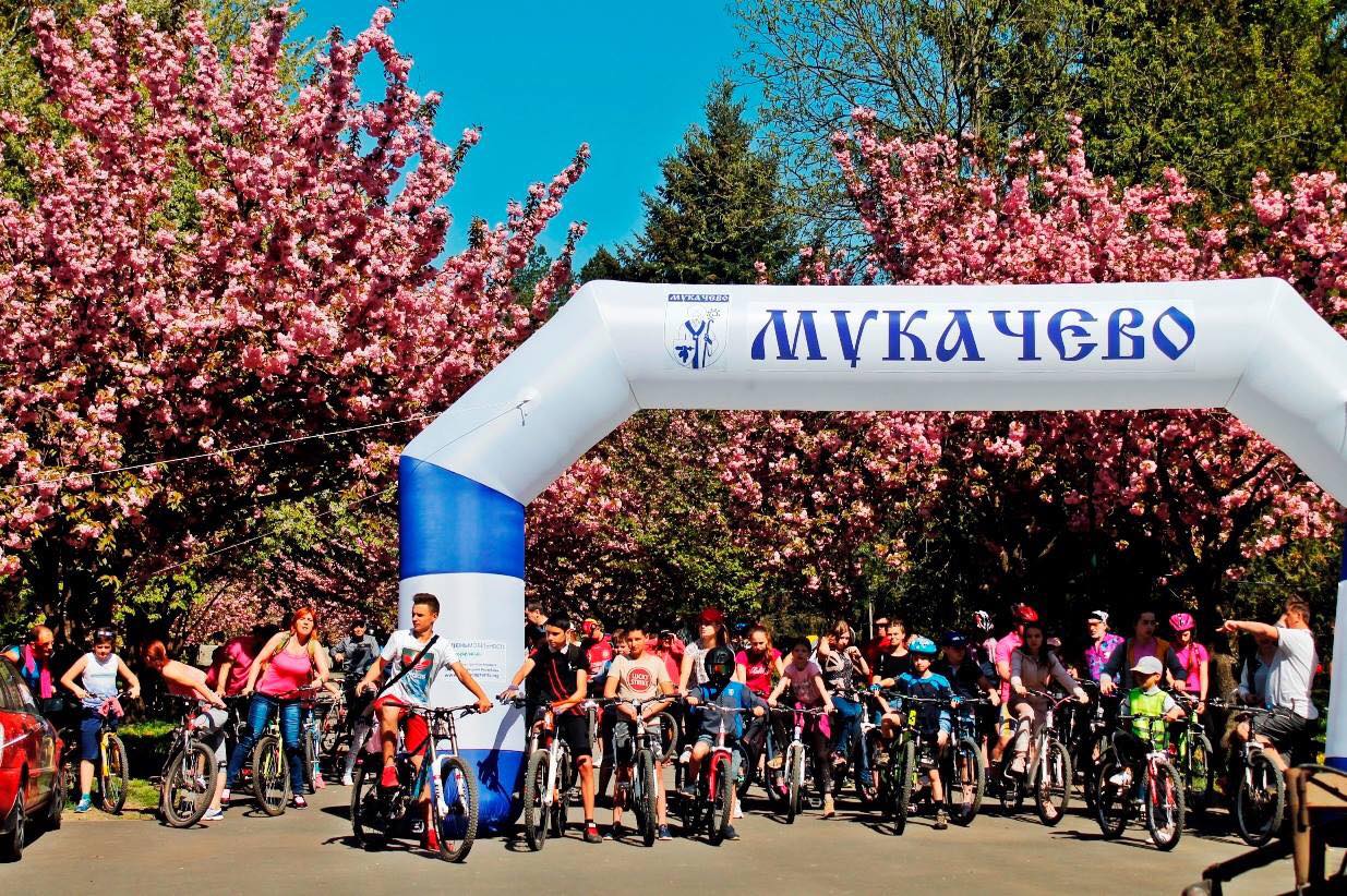 Завтра в Мукачеві відбудеться велозаїзд "сакуровими" вулицями 20 квітня у Мукачеві відбудеться велозаїзд "сакуровими" вулицями