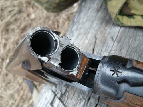 Браконьєри застрелили вагітну самицю оленя Неподалік села Монастирець Хустського УТМР браконьєри вбили вагітну оленицю
