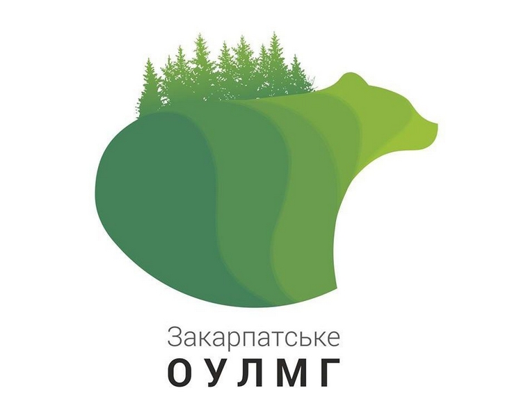 Лісівники не погоджуються зі звинуваченням прокуратури Закарпатські лісівники не погоджуються зі звинуваченням прокуратури