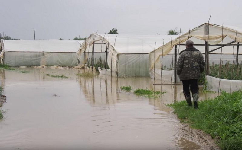 Наслідки злив: води в теплицях на Закарпатті – по пояс Наслідки злив: води в теплицях на Закарпатті – по пояс. Фермери підраховують збитки