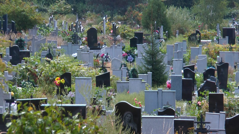 У Мукачеві буде місячник впорядкування кладовищ У Мукачеві буде місячник впорядкування кладовищ
