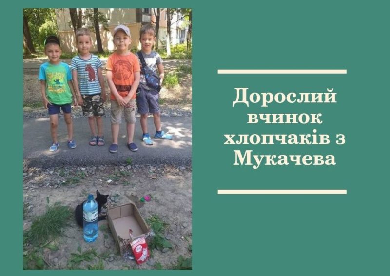 У Мукачеві діти зробили благородний вчинок, чим викликали захоплення у дорослих Замість морозива – корм для безпритульного кошеняти