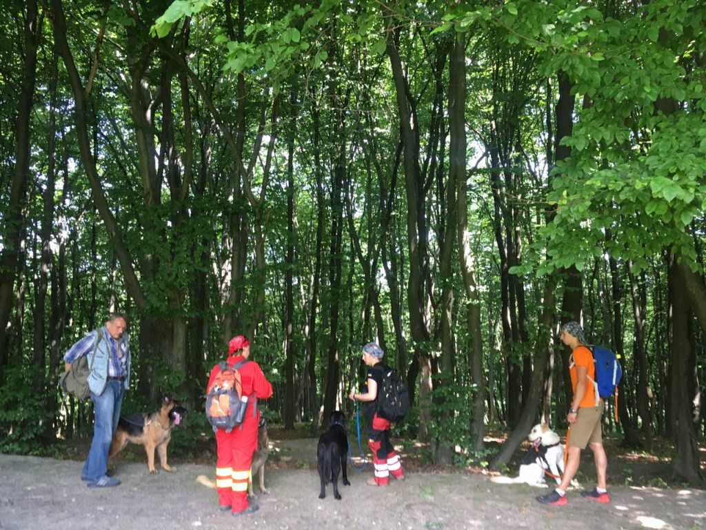 У Львові знайшли мертвим студента із Закарпаття У Львові поліція встановлює обставини загибелі студента із Закарпаття