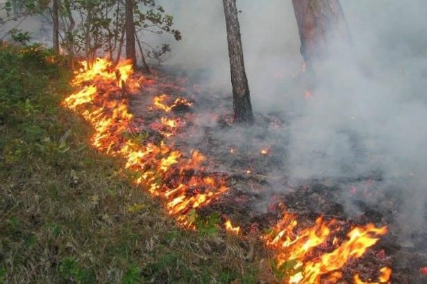 Закарпатців попереджають про небезпеку у найближчі дні Закарпатців попереджають про небезпеку у найближчі дні