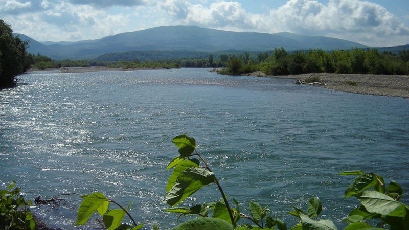 Водолази шукають у Тисі ймовірного утопленика Біля селища Королево водолази шукають у річці Тисі ймовірного утопленика