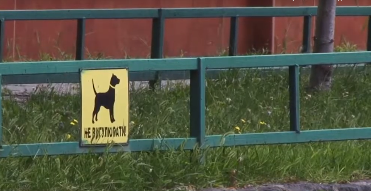 В Мукачеві на дитячих майданчиках вигулюють собак В Мукачеві на дитячих майданчиках вигулюють собак