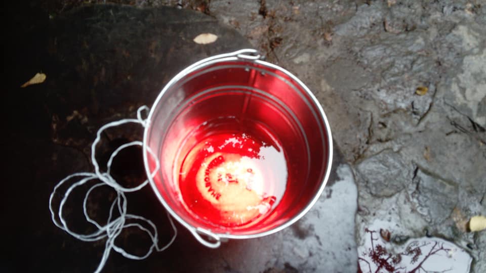 "Криваву" воду, виявлену в криниці Ужгорода, віднесли на експертизу "Криваву" воду, виявлену в криниці Ужгорода, віднесли на експертизу