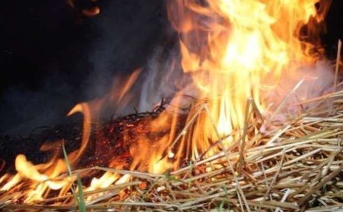 У селі на Мукачівщині згоріло 15 тонн сіна У селі на Мукачівщині згоріло 15 тонн сіна