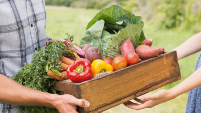 Закарпатців, які продають власну сільськогосподарську продукцію, закликають звернутися у сільську чи міську раду Закарпатців, які продають власну сільськогосподарську продукцію, закликають звернутися у сільську чи міську раду