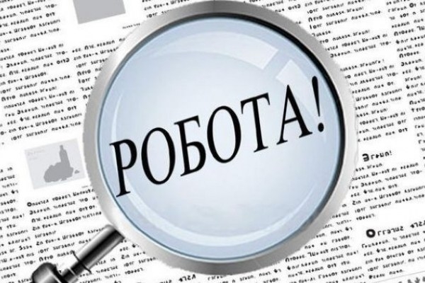 Які професії користуються попитом на закарпатському ринку праці Які професії користуються попитом на закарпатському ринку праці