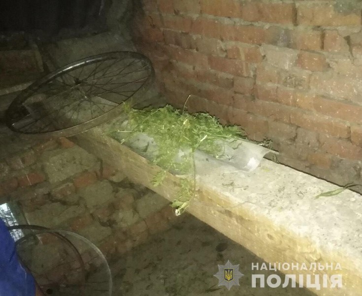 На Мукачівщині у юнака знайшли марихуану На Мукачівщині у юнака знайшли марихуану
