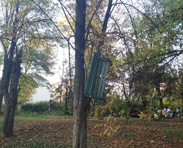 В Ужгороді невідомі повісили на дерево лавицю В Ужгороді невідомі повісили на дерево лавицю