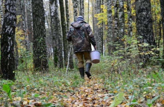 На Ужгородщині молодий чоловік пішов по гриби і зник На Ужгородщині молодий чоловік пішов по гриби і зник