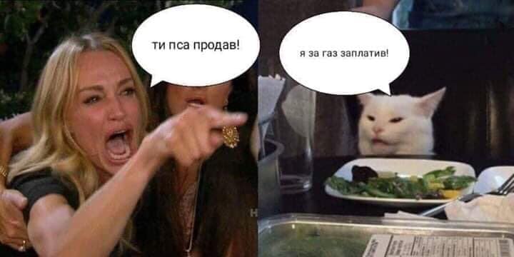 "Кінець епохи елітних собак", — закарпатці жартами відреагували на пораду нардепа "Кінець епохи елітних собак", — закарпатці жартами відреагували на пораду нардепа