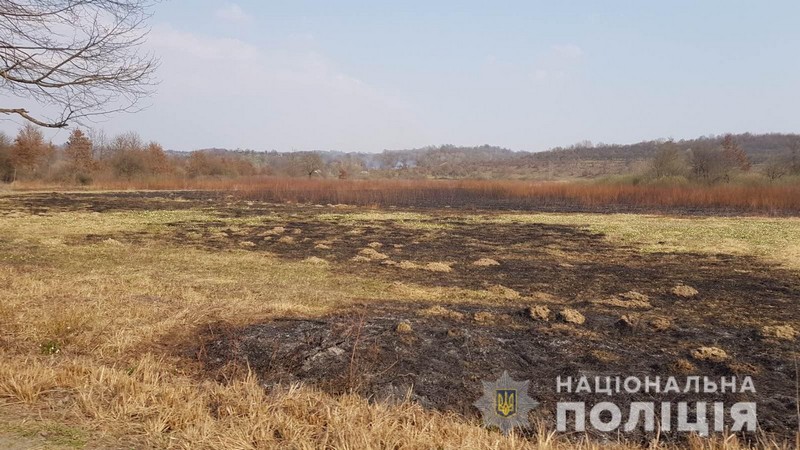 Поліція знайшла чоловіка, який підпалив Долину нарцисів Поліція знайшла чоловіка, який підпалив Долину нарцисів