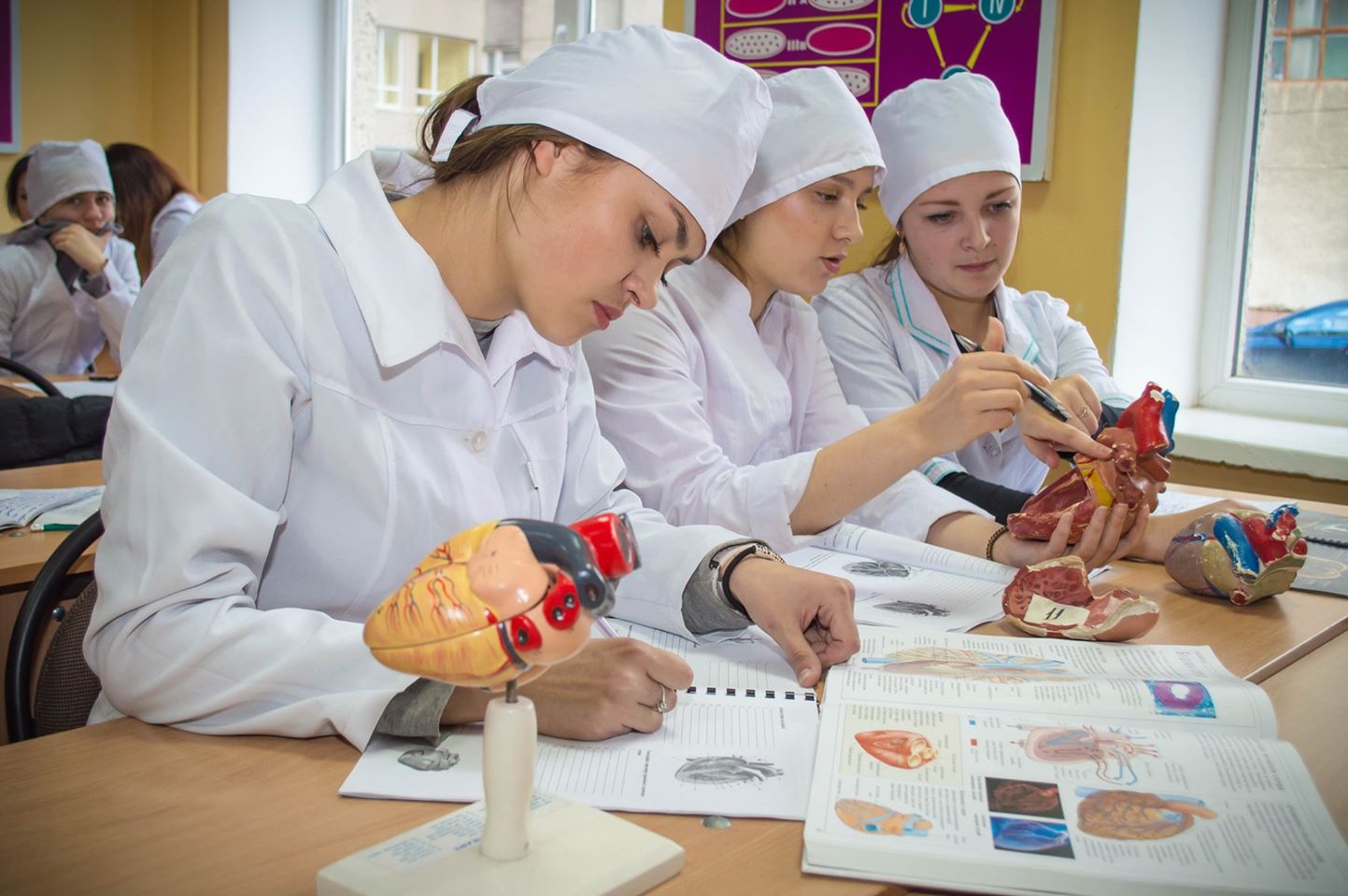 На Закарпатті перейменовано три медичні коледжі На Закарпатті перейменовано три медичні коледжі