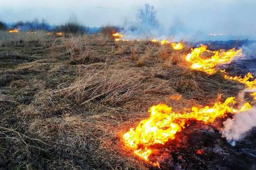 Кабмін закликав Раду збільшити штрафи за підпал трави Кабмін закликав Раду збільшити штрафи за підпал трави