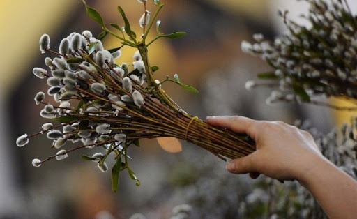 Які обмеження вводить ПЦУ на Вербну неділю Які обмеження вводить ПЦУ на Вербну неділю