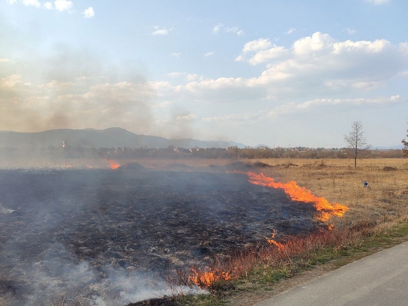 Від 5 до 12 років в’язниці загрожує закарпатцю, який підпалив Долину нарцисів Від 5 до 12 років в’язниці загрожує закарпатцю, який підпалив Долину нарцисів