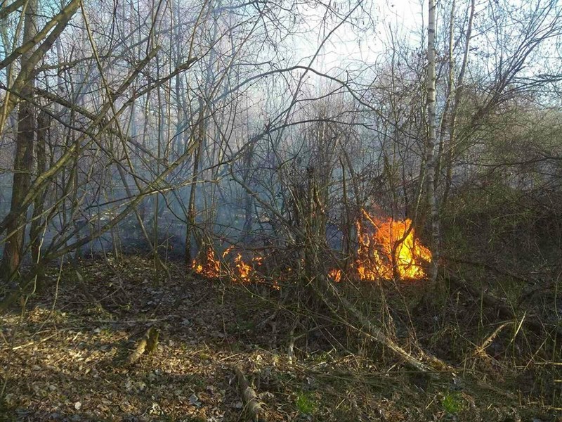 Закарпатські вогнеборці звернулись до краян Закарпатські вогнеборці звернулись до краян