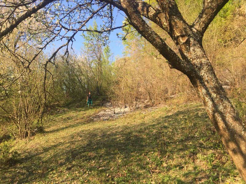 На Закарпатті загинула жінка. Її син опинився в лікарні На Закарпатті загинула жінка. Її син опинився в лікарні