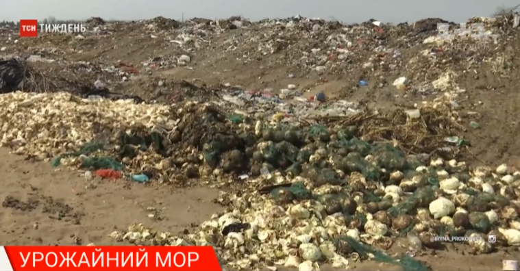 На Закарпатті продукти згнивають, бо держава вирішила не купувати своє, а ввозити імпортне На Закарпатті продукти згнивають, бо держава вирішила не купувати своє, а ввозити імпортне
