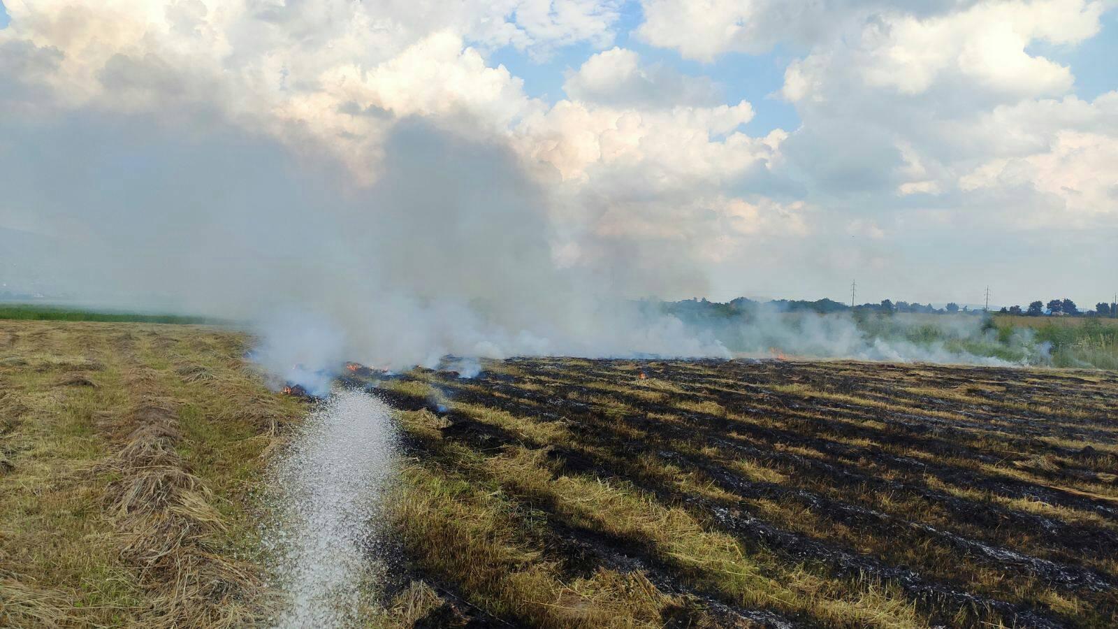 На Виноградівщині загорілось поле із сіном На Виноградівщині загорілось поле із сіном