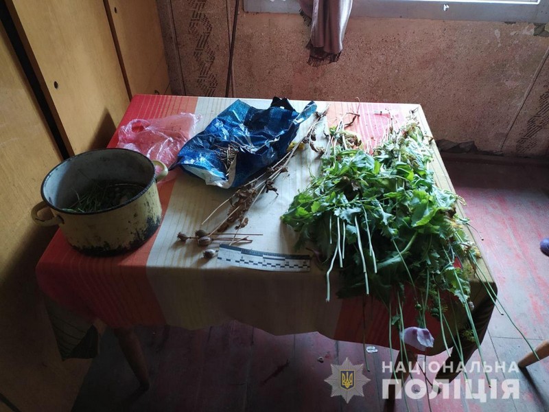 Жінка викликала поліцію через неадекватну поведінку свого сина Жінка викликала поліцію через неадекватну поведінку свого сина