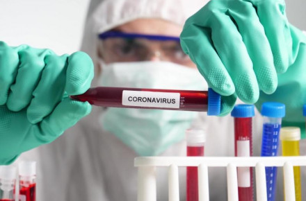 На Мукачівщині за добу виявили чимало випадків захворювання на COVID-19 На Мукачівщині за добу виявили чимало випадків захворювання на COVID-19